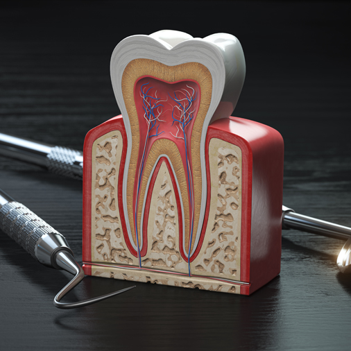 Root Canal Treatments - Powell Family Dentistry in Powell Tennessee